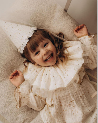 The Little Fairy's Dream