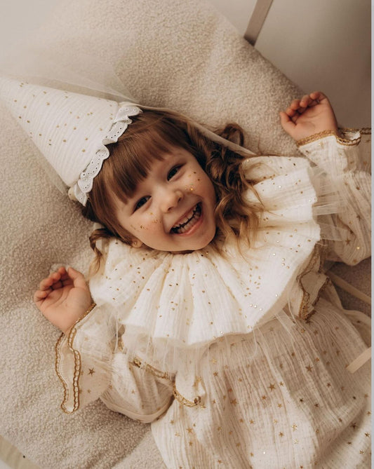 The Little Fairy's Dream