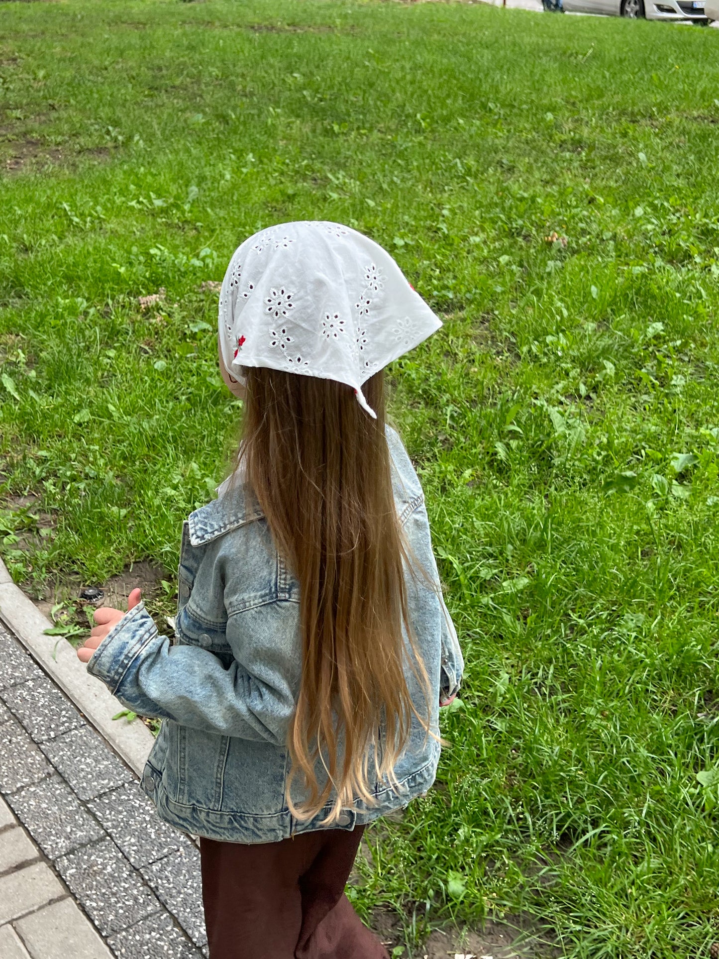Batista cu broderie flori roșii